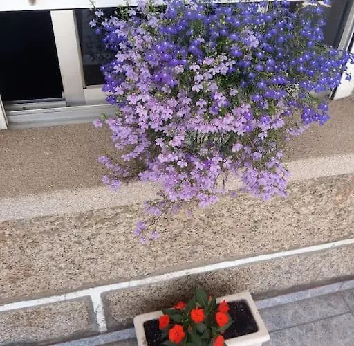 Precioso En Apartmán *